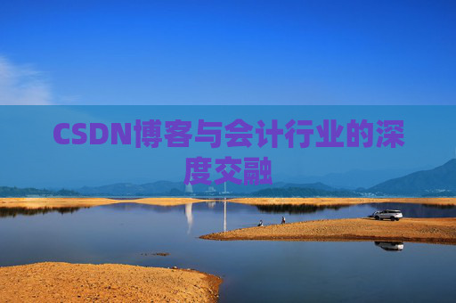 CSDN博客与会计行业的深度交融 CSDN博客与会计行业的深度交融